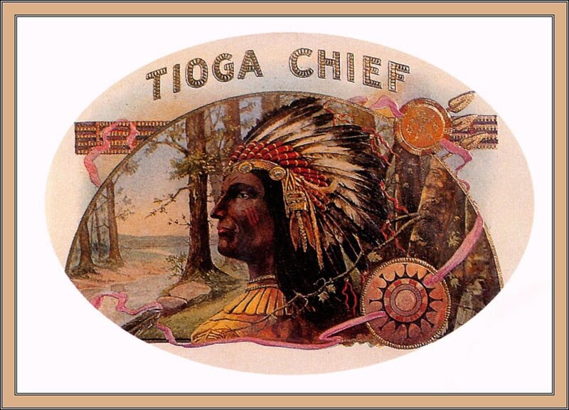 Indigenous Chief Portrait — Brown