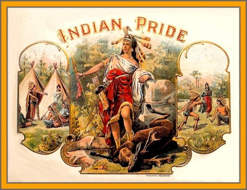 Indigenous Chief Standing