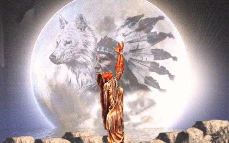 Indigenous Person with Wolf — White