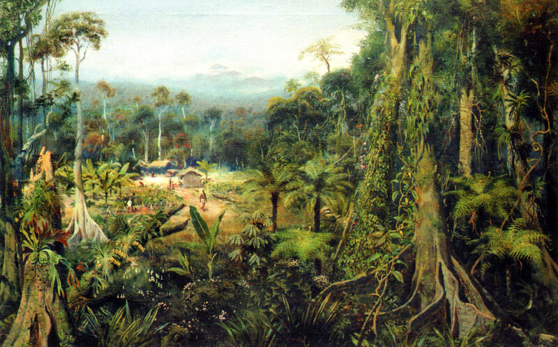 Indigenous Village in Jungle
