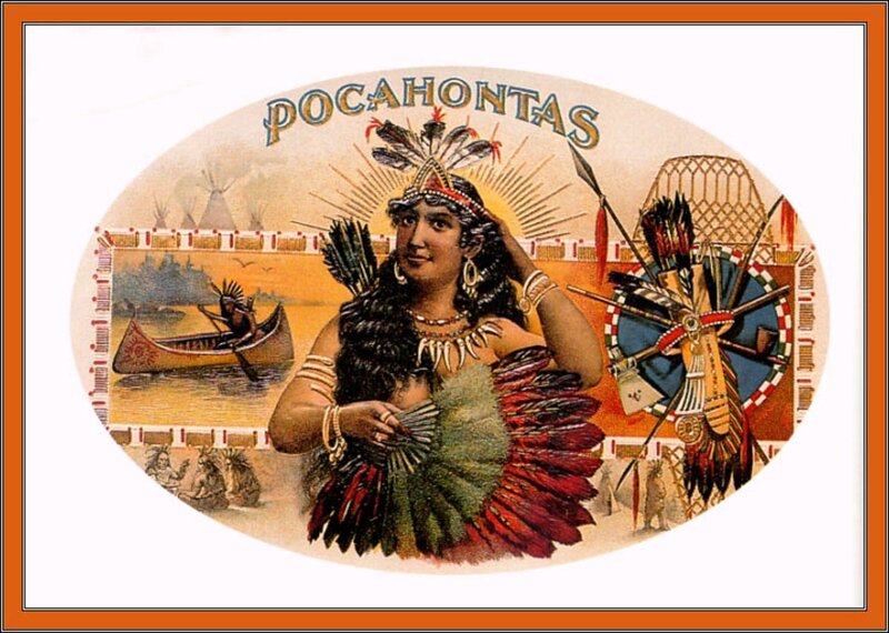 Indigenous Woman in Feathered Attire