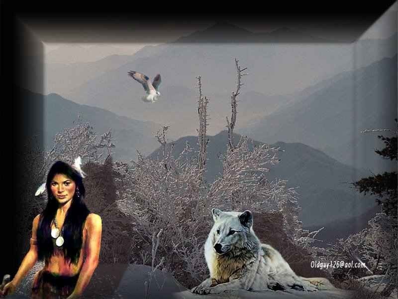 Indigenous Woman with Wolf — Gray