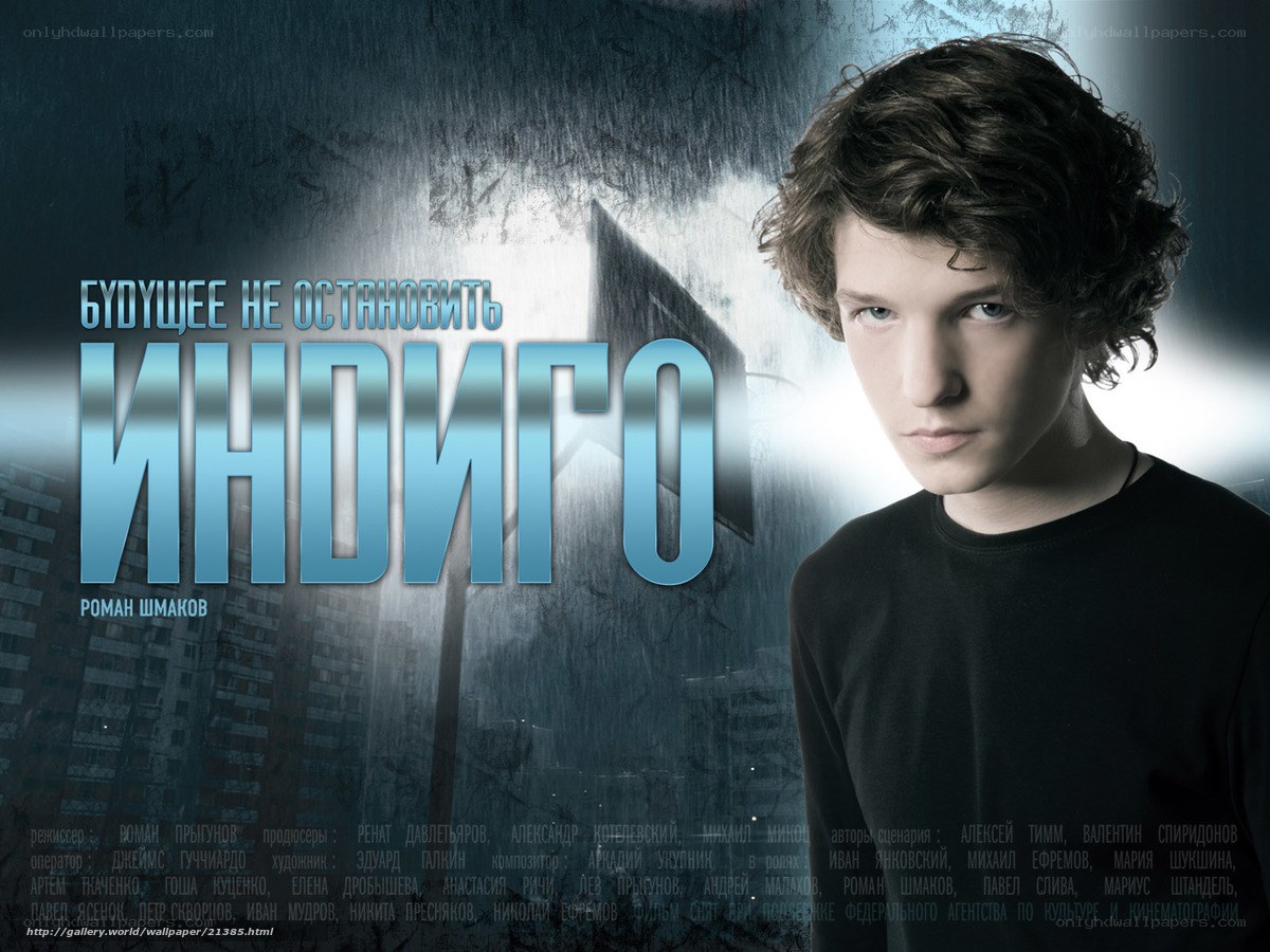Indigo book cover