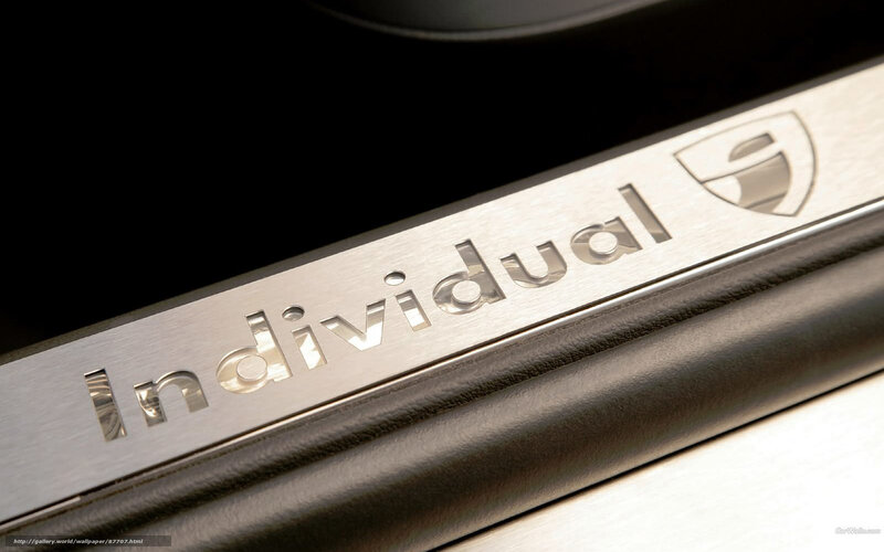 Individual car door sill plate