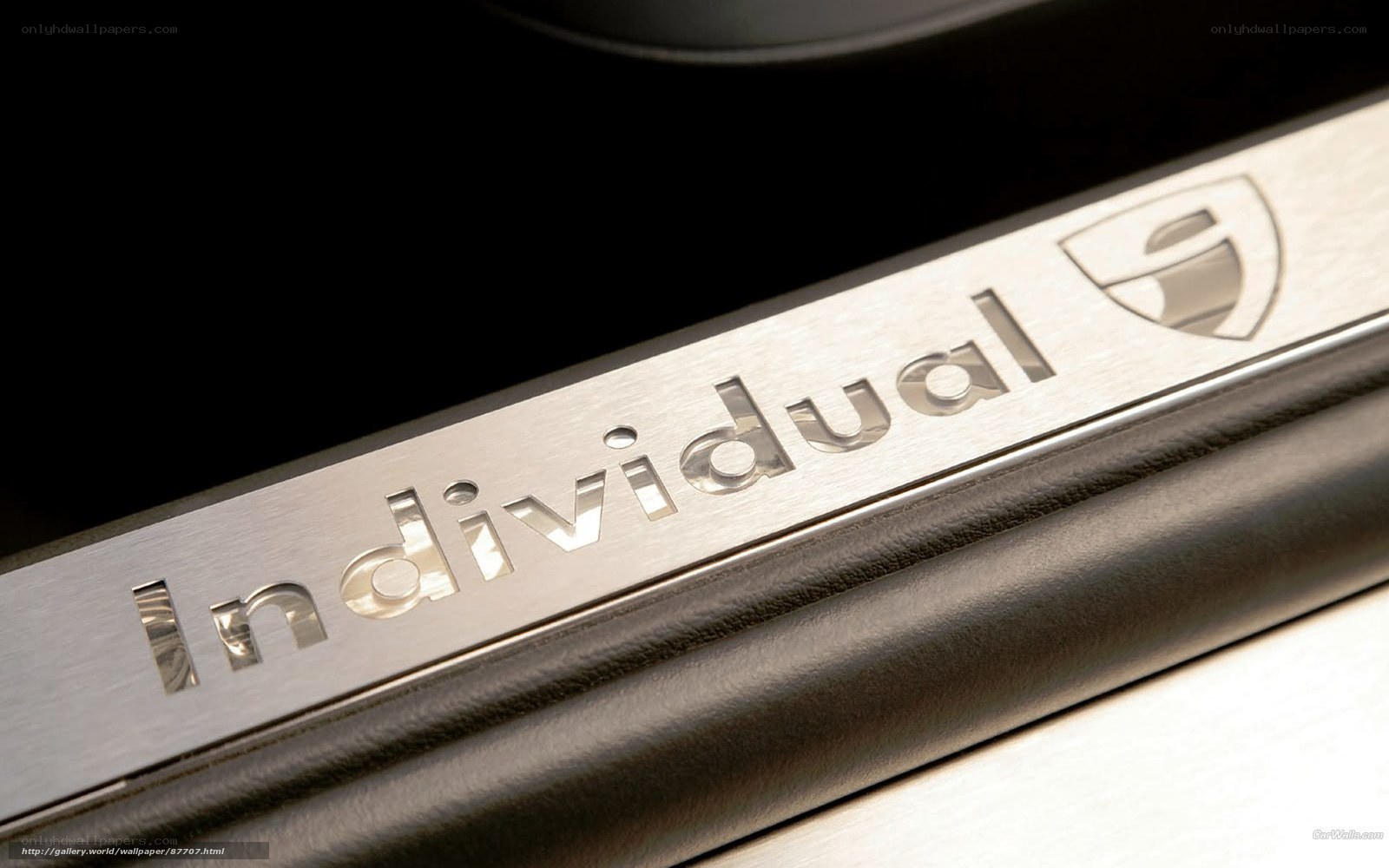 Individual car door sill plate