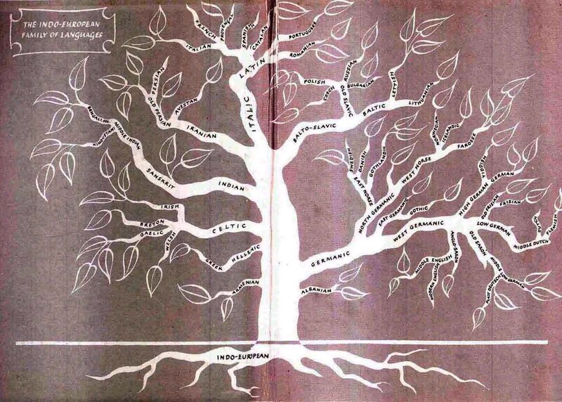 Indo-European language family tree