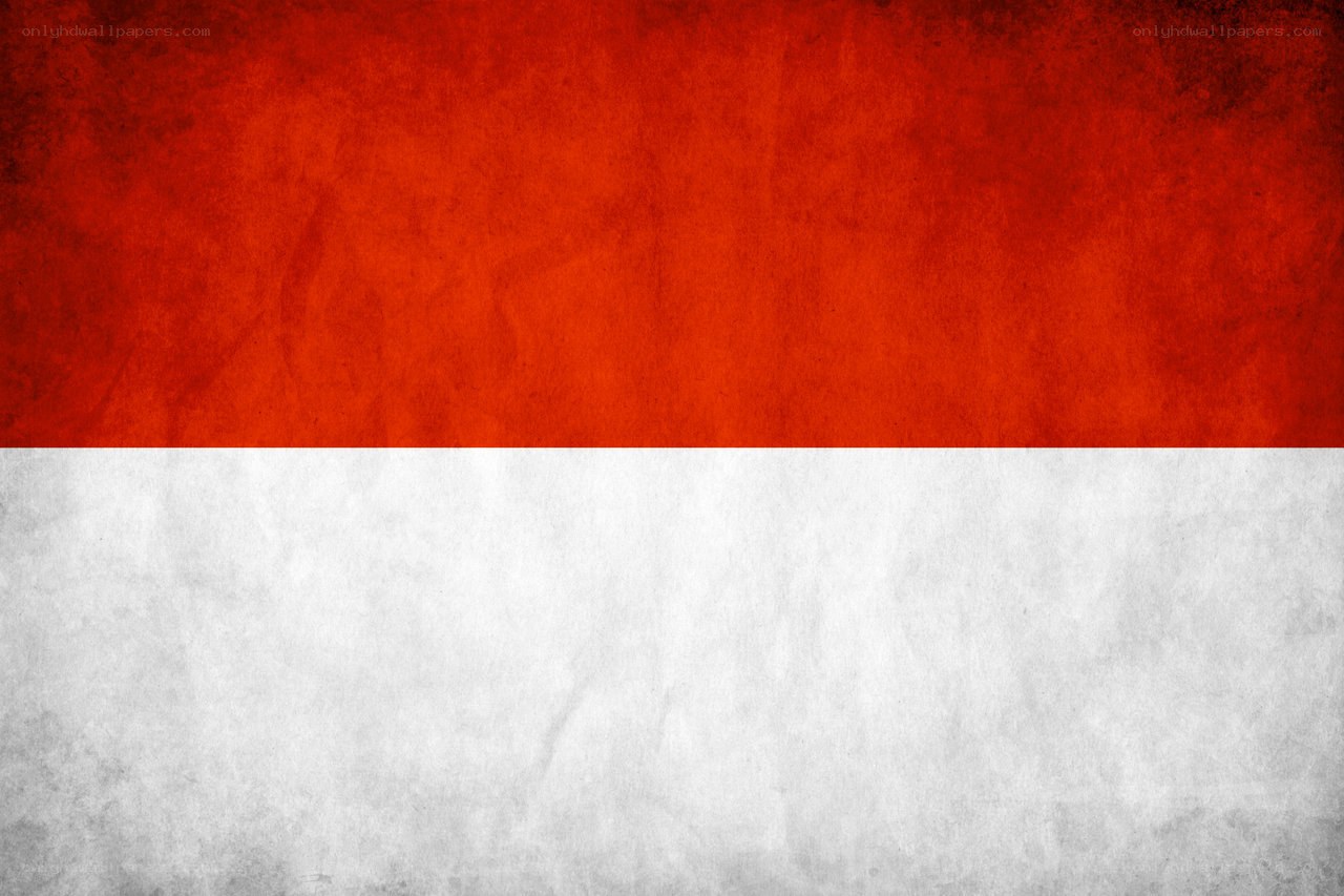 Indonesian flag with grunge texture
