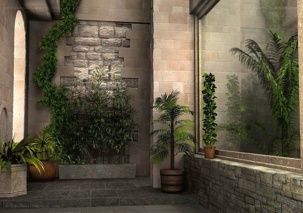 indoor garden with plants