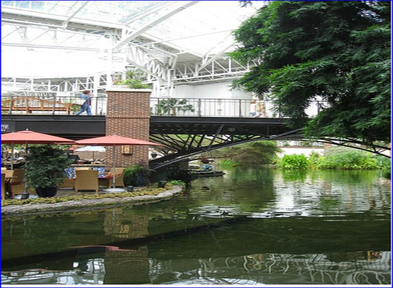 Indoor Garden with Pond