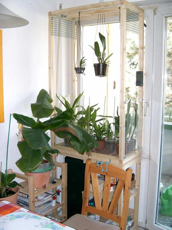indoor plant display with wooden frame