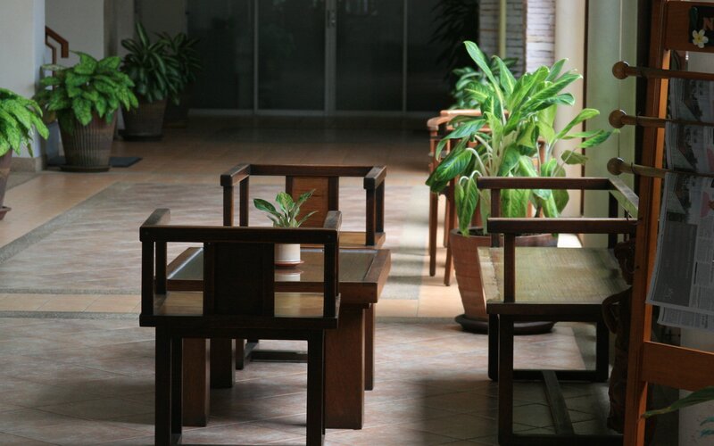 Indoor seating with plants