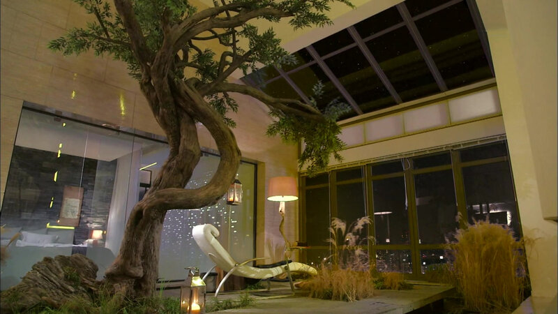 Indoor Tree and Lounge