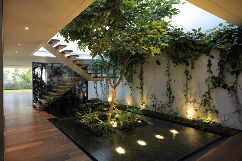 Indoor Tree in Water Feature