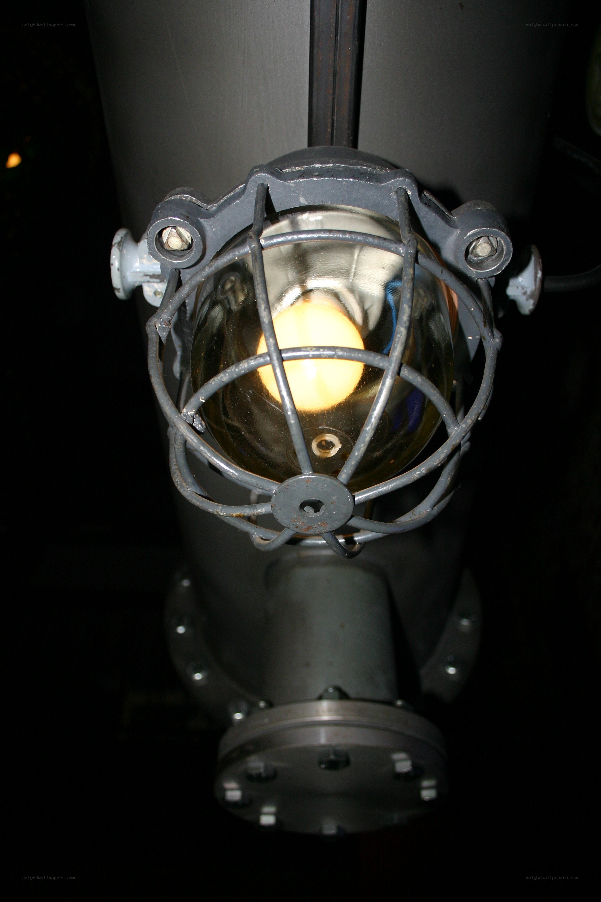 industrial lamp with protective cage