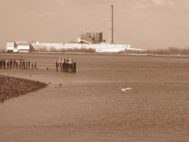 Industrial plant by the water