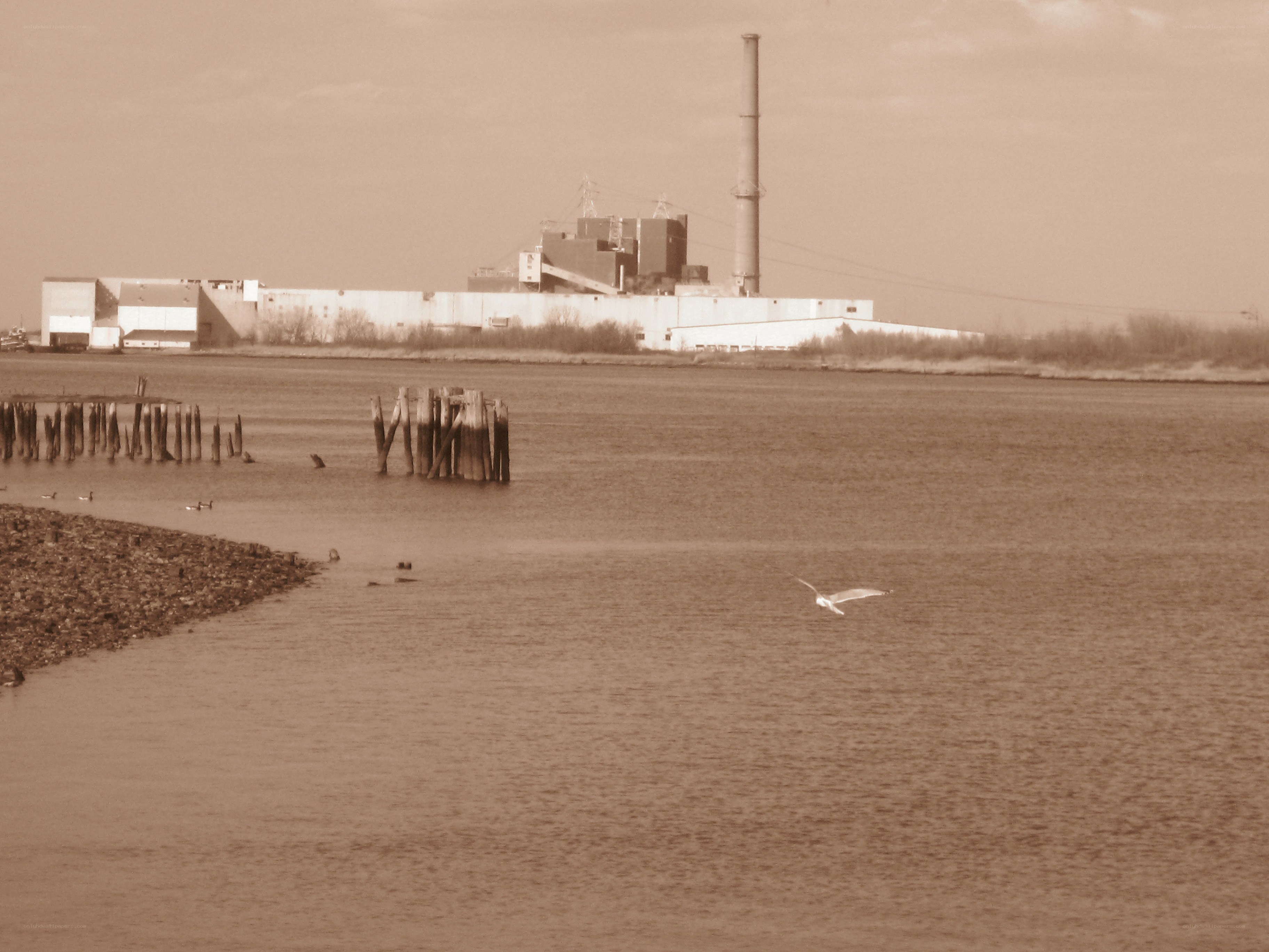 Industrial plant by the water