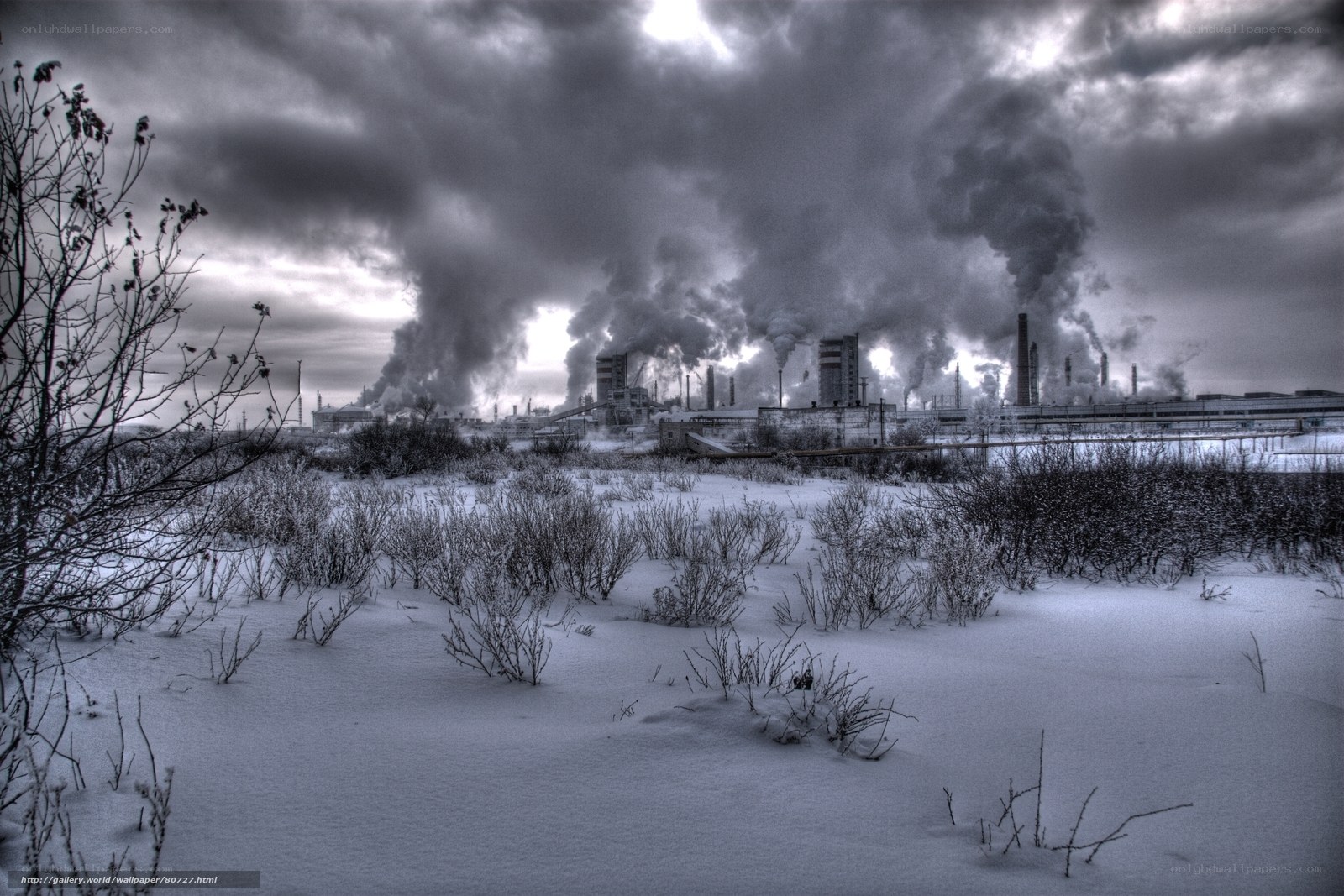 Industrial Pollution in Winter