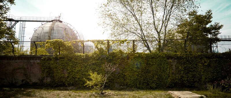 Industrial tank behind ivy wall