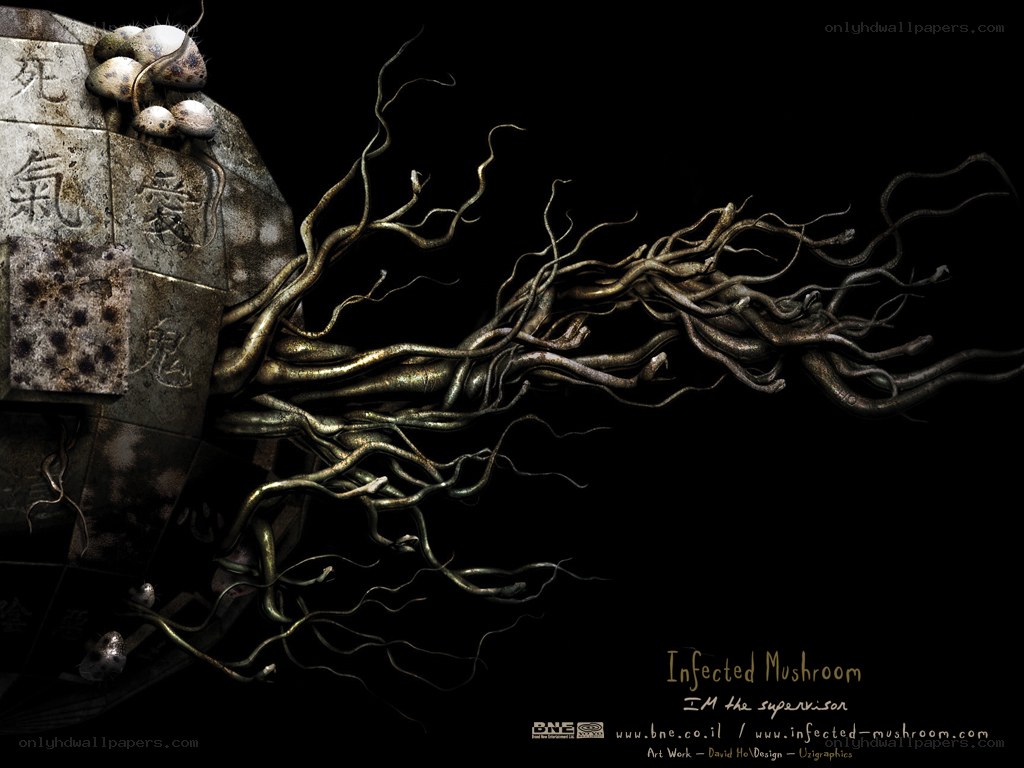 Infected Mushroom artwork