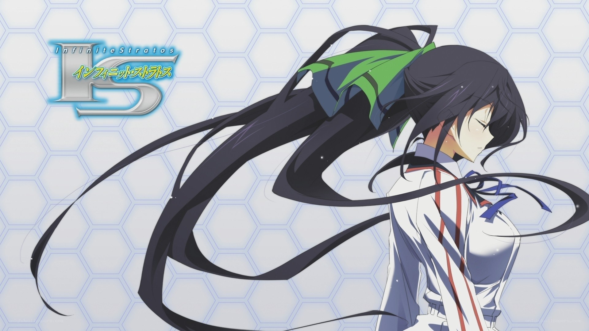 Infinite Stratos anime character