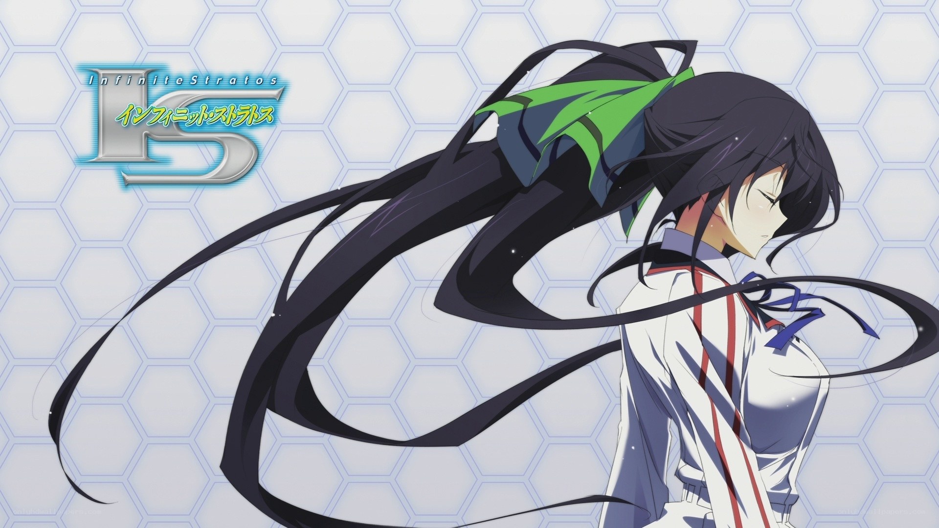 Infinite Stratos anime character
