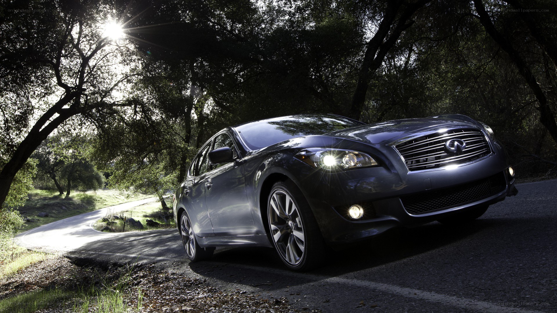 Infiniti on a forest road