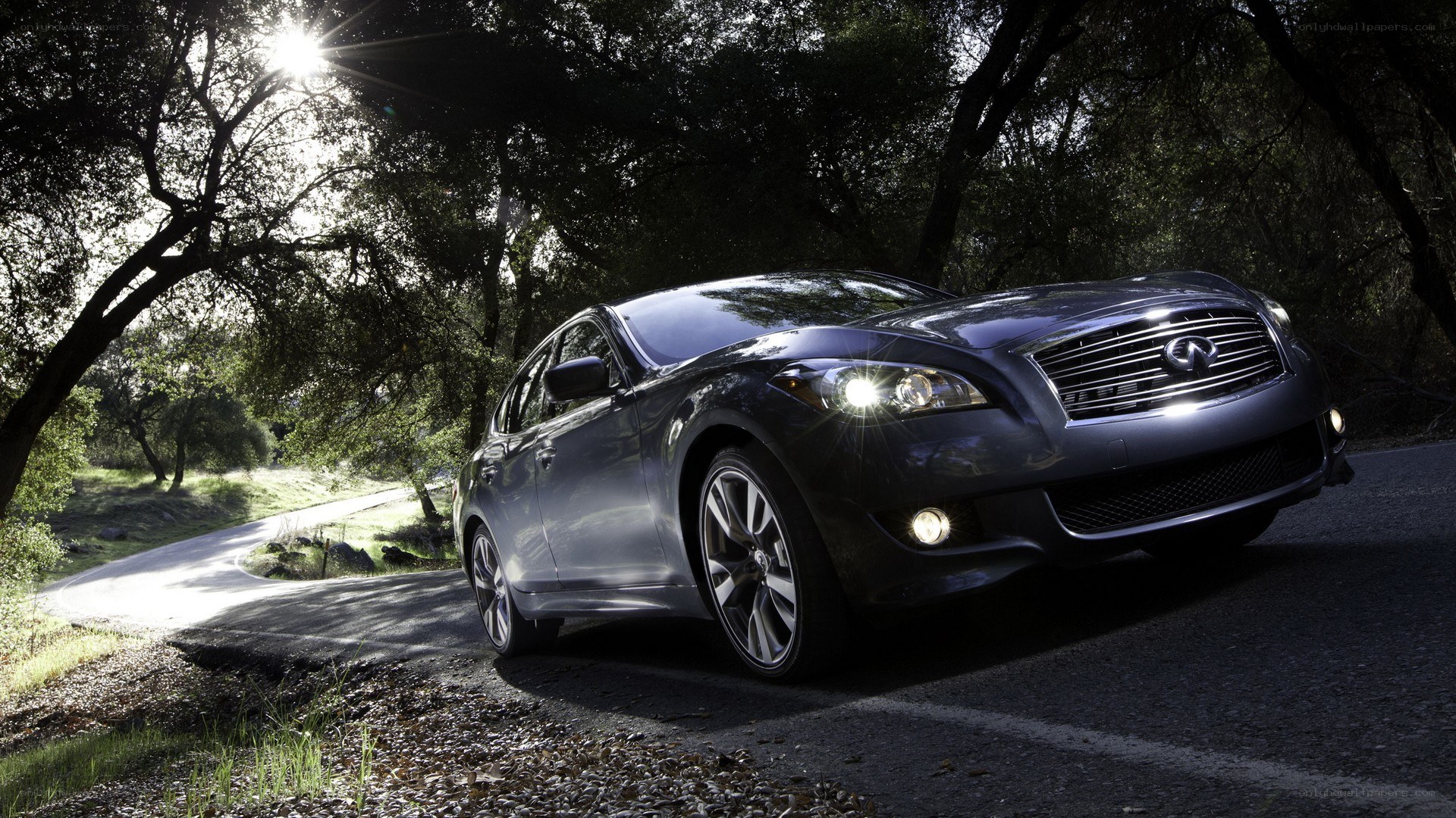 Infiniti on a forest road
