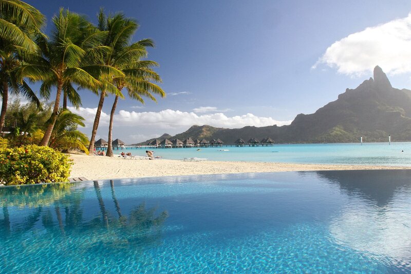 Infinity Pool at Beach — Blue, Serene, Afternoon, Photograph, Palm Trees, Overwater Bungalows
