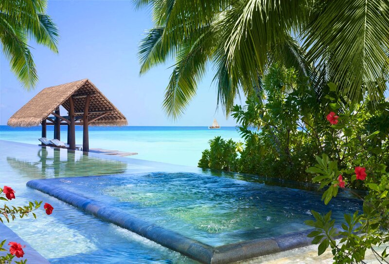 Infinity Pool at Beach — Blue, Serene, Afternoon, Photograph, Palm Trees