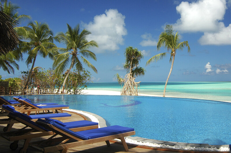 Infinity Pool at Beach Resort — Blue, Serene, Afternoon, Photograph, Palm Trees, Ocean