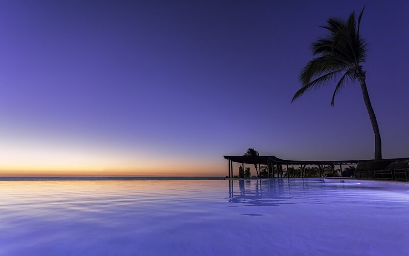 Infinity Pool at Dusk — Blue, Serene, Sunset, Photograph, Palm Tree
