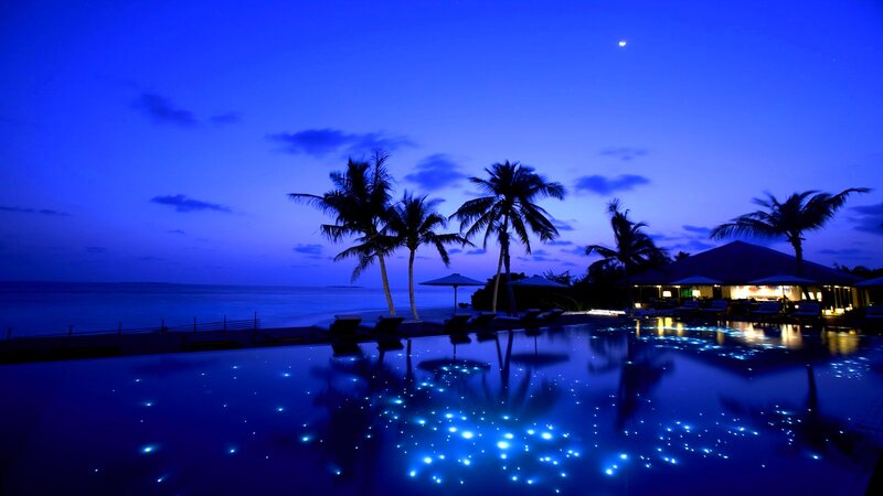 Infinity Pool at Night — Blue, Serene, Photograph, Palm Trees