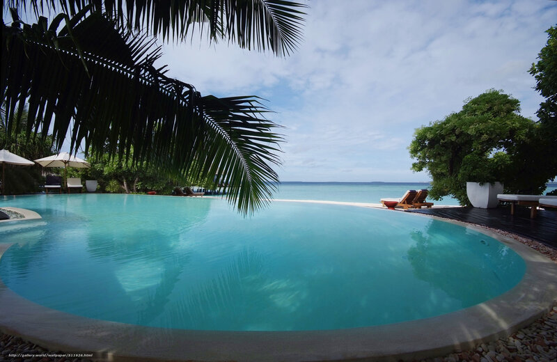 Infinity Pool at Resort — Blue, Serene, Afternoon, Photograph, Palm Tree, Lounge Chairs