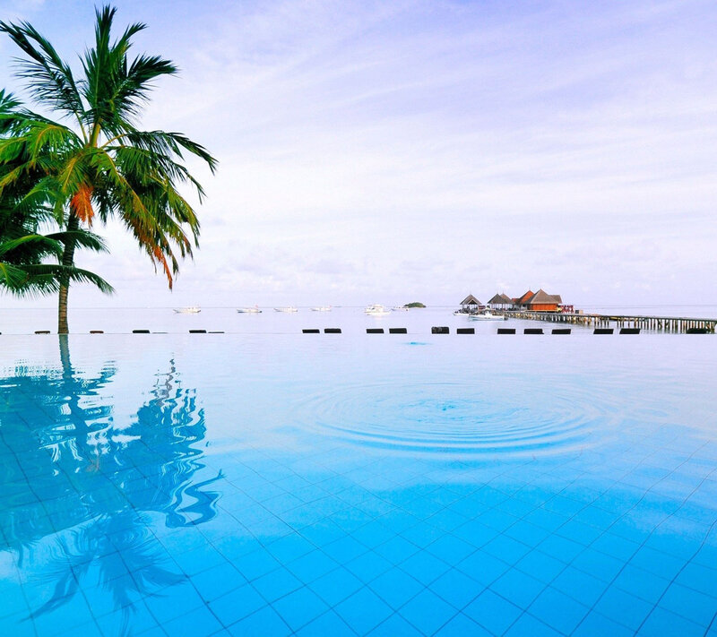 Infinity Pool at Resort — Blue, Serene, Afternoon, Photograph, Palm Tree