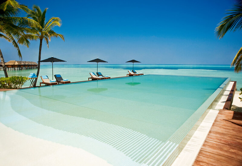 Infinity Pool at Resort — Blue, Serene, Afternoon, Photograph, Palm Trees, Lounge Chairs, Ocean