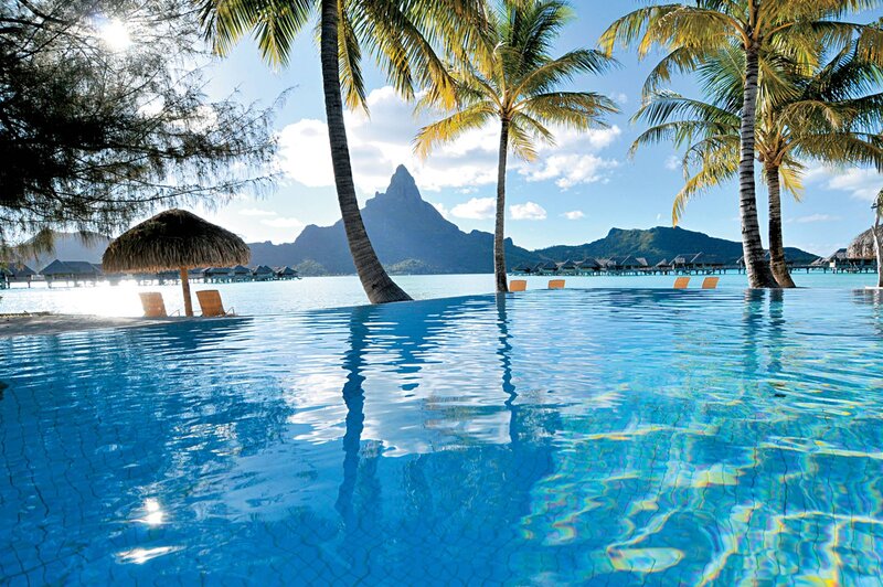 Infinity Pool at Resort — Blue, Serene, Afternoon, Photograph, Palm Trees, Mountain