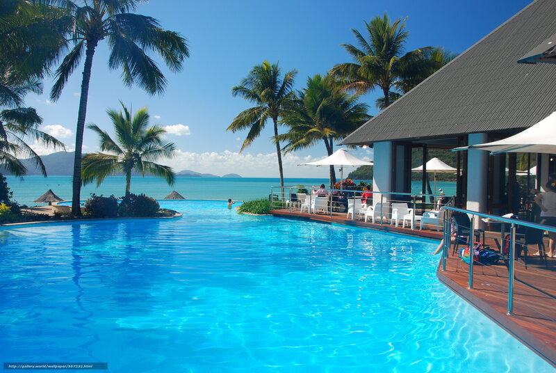 Infinity Pool at Resort — Blue, Serene, Afternoon, Photograph, Palm Trees, Ocean, Deck, Umbrellas