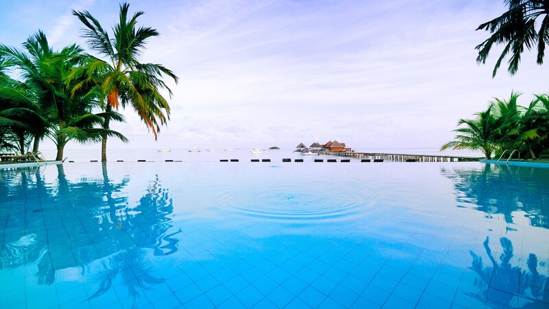 Infinity Pool at Resort — Blue, Serene, Afternoon, Photograph, Palm Trees, Ocean, Overwater Bungalows