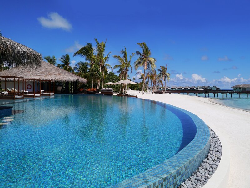Infinity Pool at Resort — Blue, Serene, Afternoon, Photograph, Palm Trees, Thatched Roof