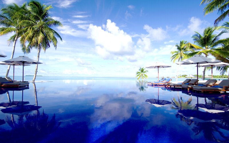 Infinity Pool at Resort — Blue, Serene, Afternoon, Photograph, Palm Trees, Umbrellas
