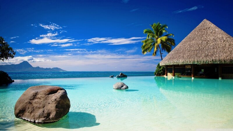 Infinity Pool at Resort — Blue, Serene, Afternoon, Photograph, Thatched Hut, Palm Tree, Mountain