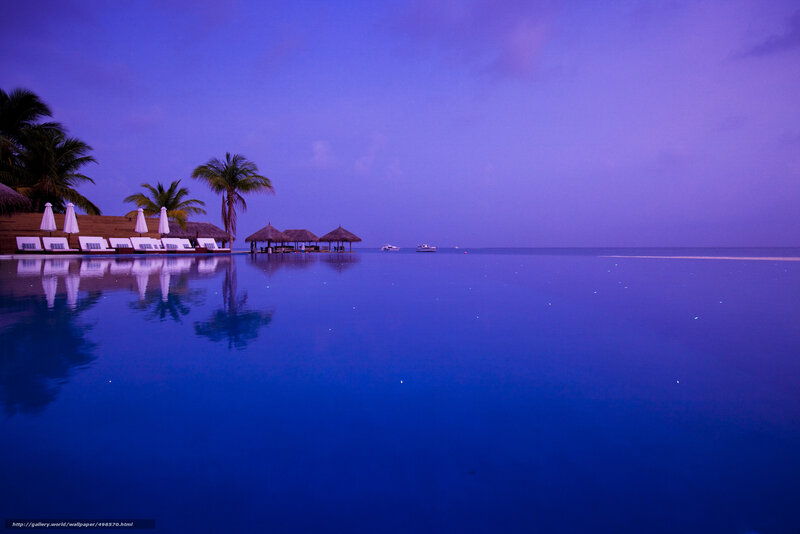 Infinity Pool at Resort — Blue, Serene, Night, Photograph, Palm Trees, Loungers