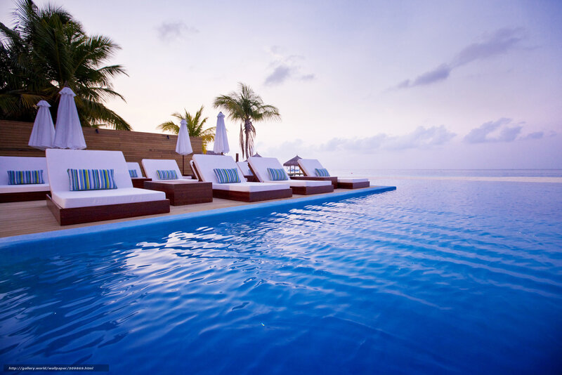 Infinity Pool at Resort — Blue, Serene, Sunset, Photograph, Lounge Chairs, Palm Trees
