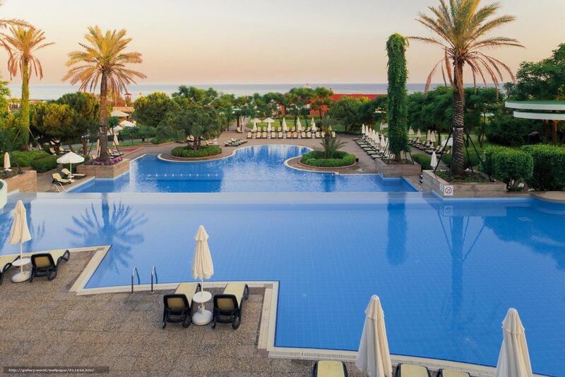 Infinity Pool at Resort — Blue, Serene, Sunset, Photograph, Palm Trees, Lounge Chairs