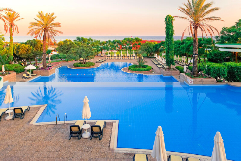 Infinity Pool at Resort — Blue, Serene, Sunset, Photograph, Palm Trees