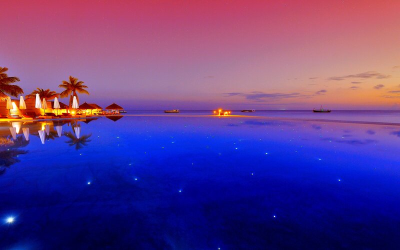 Infinity Pool at Sunset — Blue, Serene, Photograph, Palm Trees, Boats