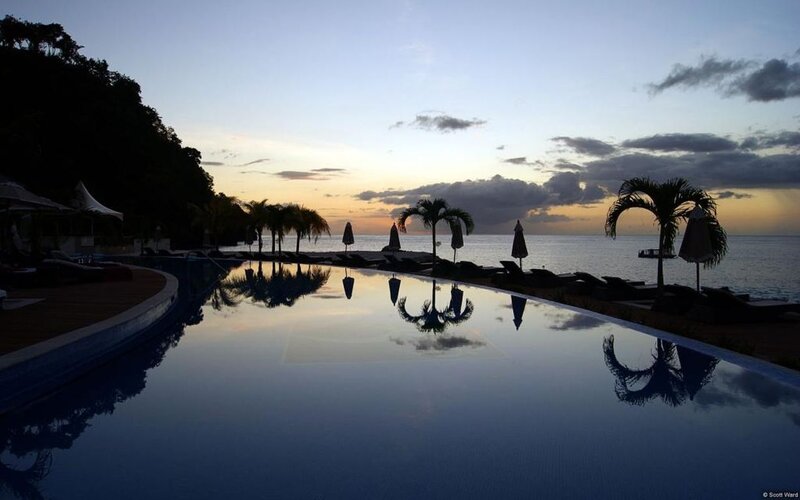 Infinity Pool at Sunset — Blue, Serene, Photograph, Palm Trees, Ocean, Umbrellas