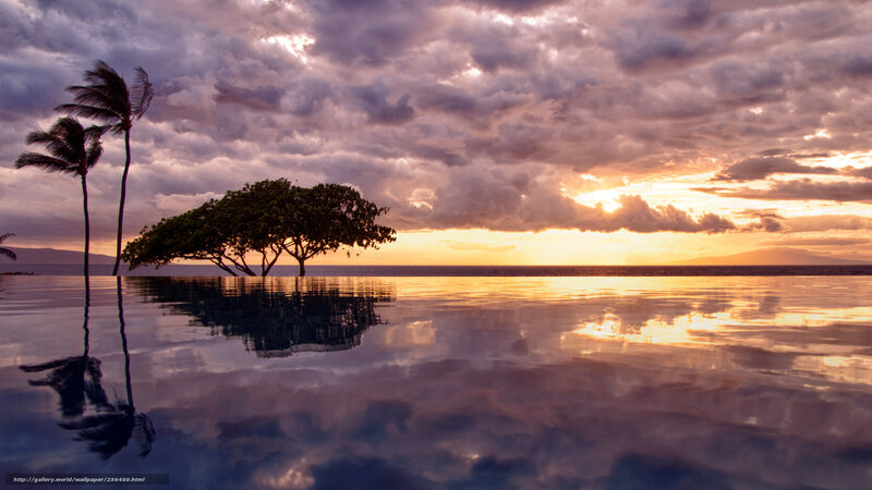 Infinity Pool at Sunset — Purple, Dramatic, Photograph, Palm Trees, Ocean