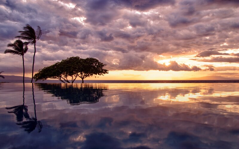 Infinity Pool at Sunset — Purple, Dramatic, Photograph, Palm Trees