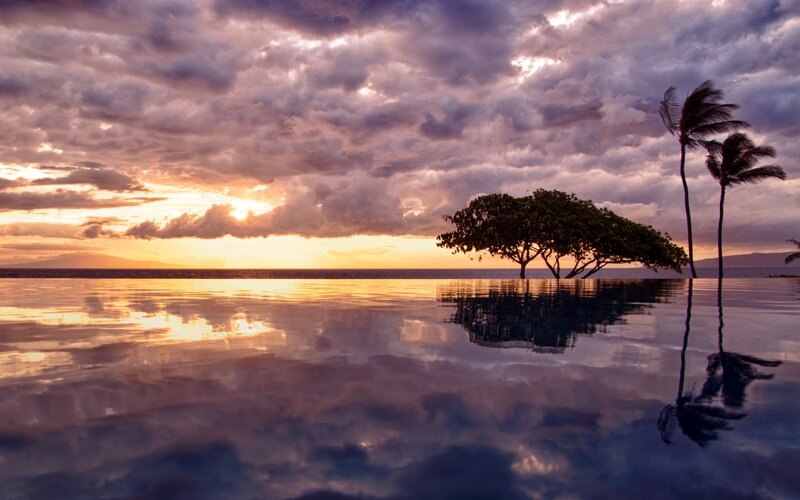 Infinity Pool at Sunset — Purple, Dramatic, Photograph, Trees